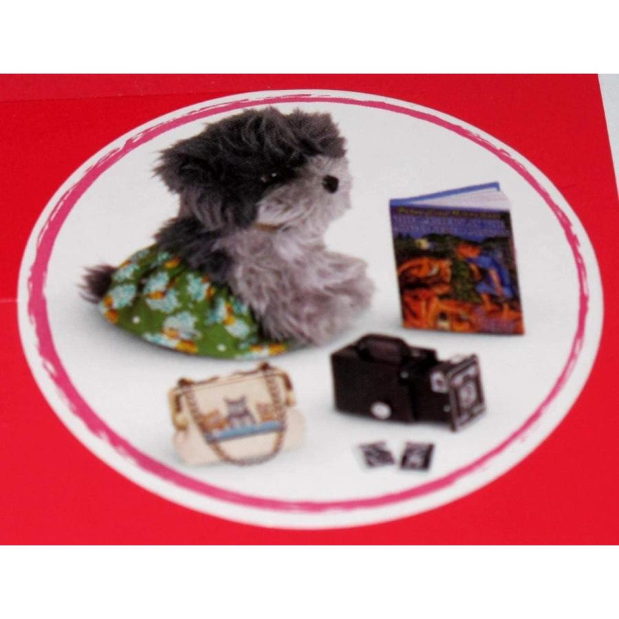 アメリカンガールドール 赤ちゃん おままごと American Girl Nanea Birthday Accessories for 18の画像