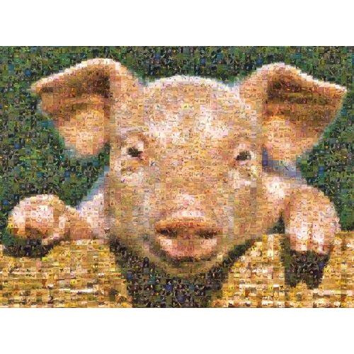 ジグソーパズル 海外製 アメリカ 534 Buffalo Games Photomosaic， Pig - 1000pc Jigsaw Puzzle