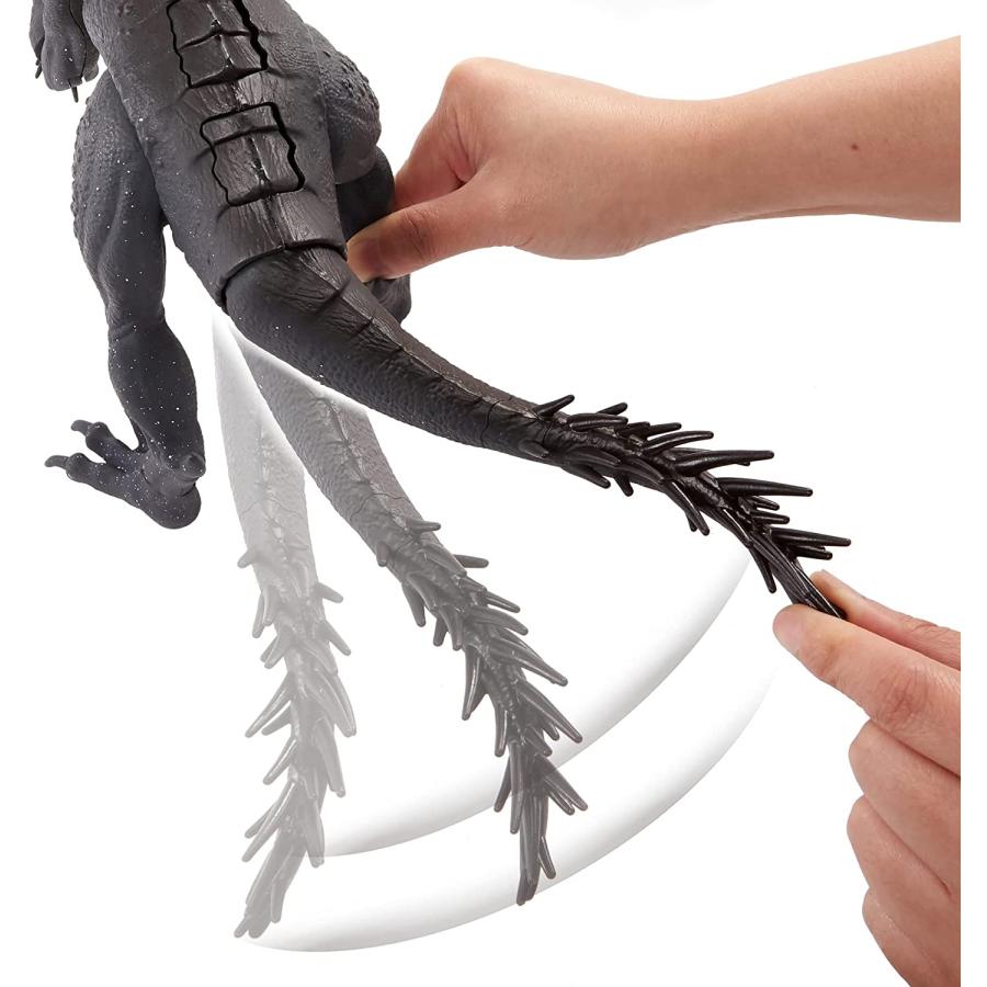 (HL-017-F) アグラオネマ　ピクタム アグラオネマ ピクタム トリカラーワイド 観葉植物 送料無料 HL