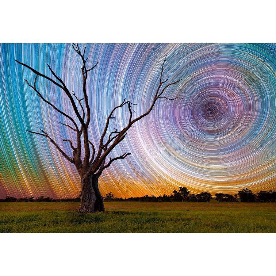 ジグソーパズル 海外製 アメリカ 2456 Buffalo Games - Lincoln Harrison - Centrifuge - 1500 Piece J