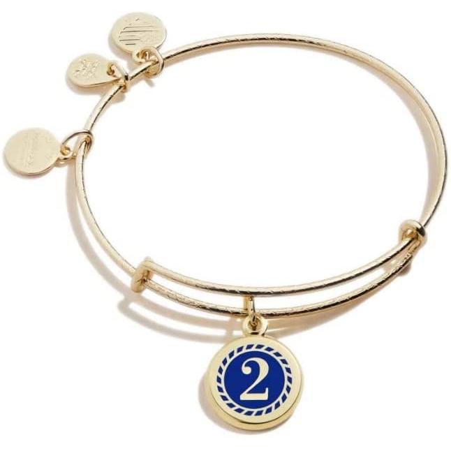 アレックスアンドアニ アメリカ アクセサリー A20EBNUM2SG Alex and Ani Numerology Expandable