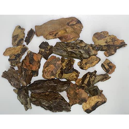 アクアリウム 水槽 置物 854981008520 Awesome Aquatic Small Dragon Stone Ohko Rock 2 lb Nano/Mini Tank