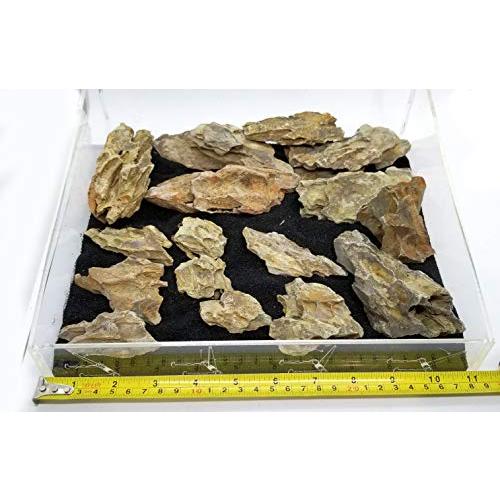アクアリウム 水槽 置物 Aqualexs Aquarium Ohko Dragon Stone Rock Mixed Sizes