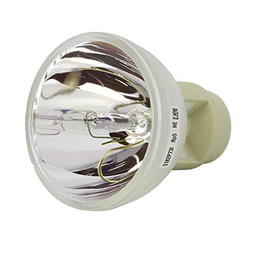 プロジェクターランプ ホームシアター テレビ ?RLC-101EB-O LYTIO Lamp Premium for ViewSonic