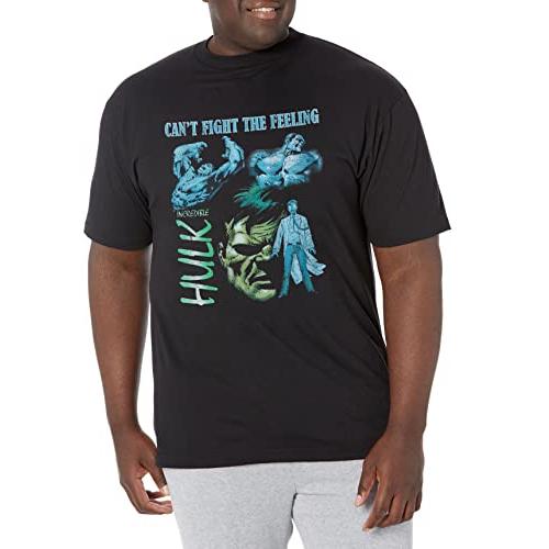 Tシャツ キャラクター ファッション MARV3029-20001007 Marvel Big & Tall Classic Hulk Homage Men's