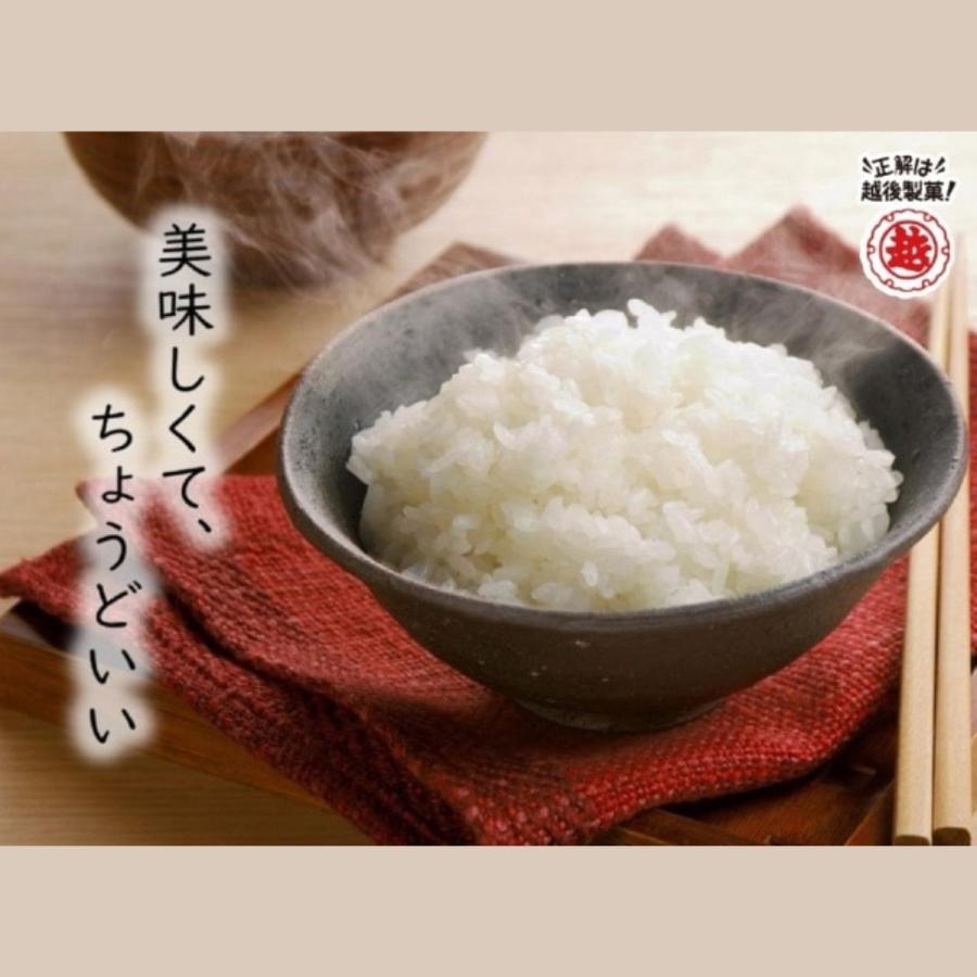 越後製菓 パックご飯 日本のごはん 120g 4食入×12袋×2ケース 96食