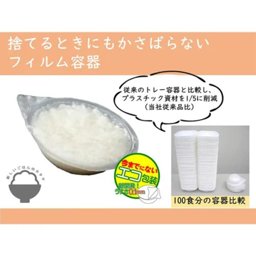 越後製菓 パックご飯 日本のごはん 120g 4食入×12袋×2ケース 96食