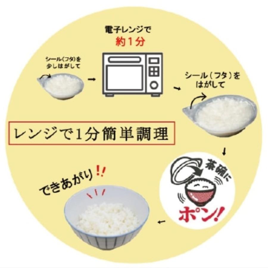 越後製菓 パックご飯 日本のごはん 120g 4食入×12袋×2ケース 96食