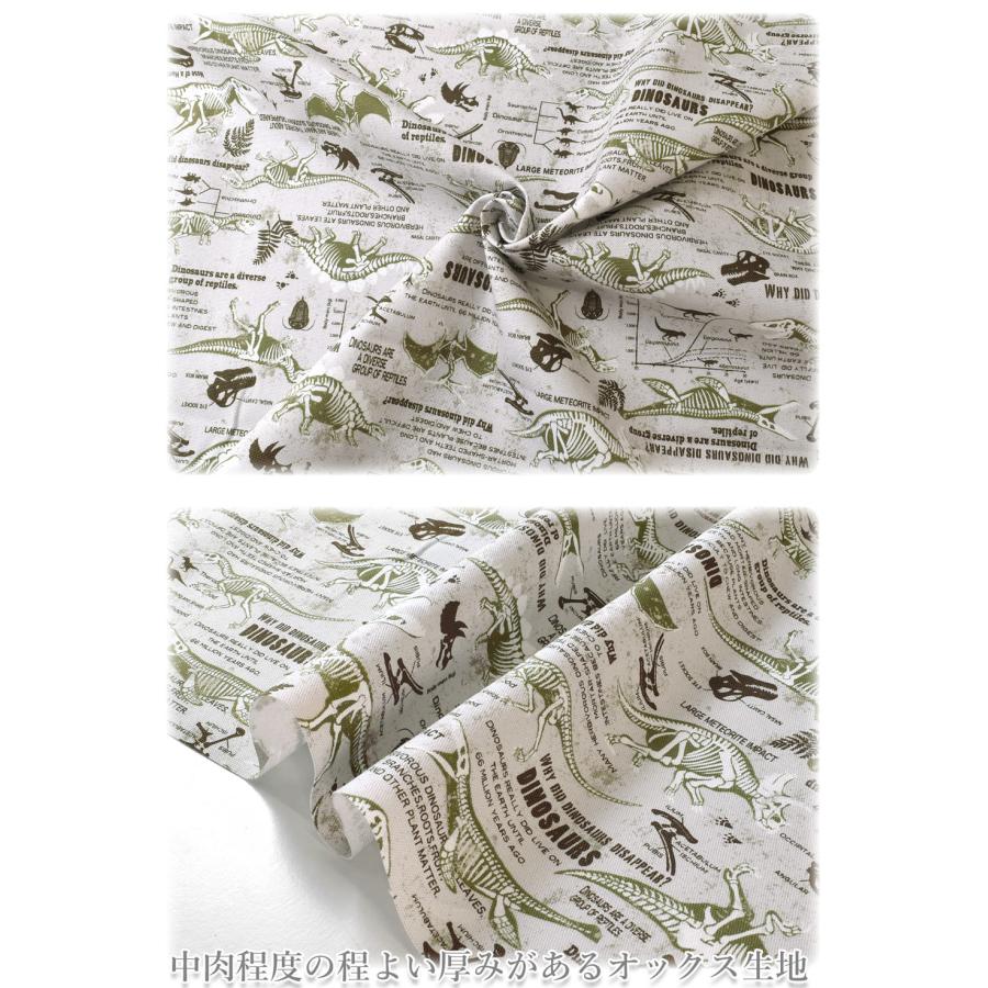 恐竜の化石図鑑 Aライトグレー系 オックス生地 AP31401-3 コスモ (282