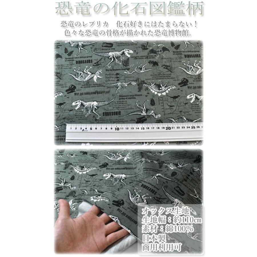 恐竜の化石図鑑 Dグレー系 オックス生地 AP31401-3 コスモ (163) (50cm