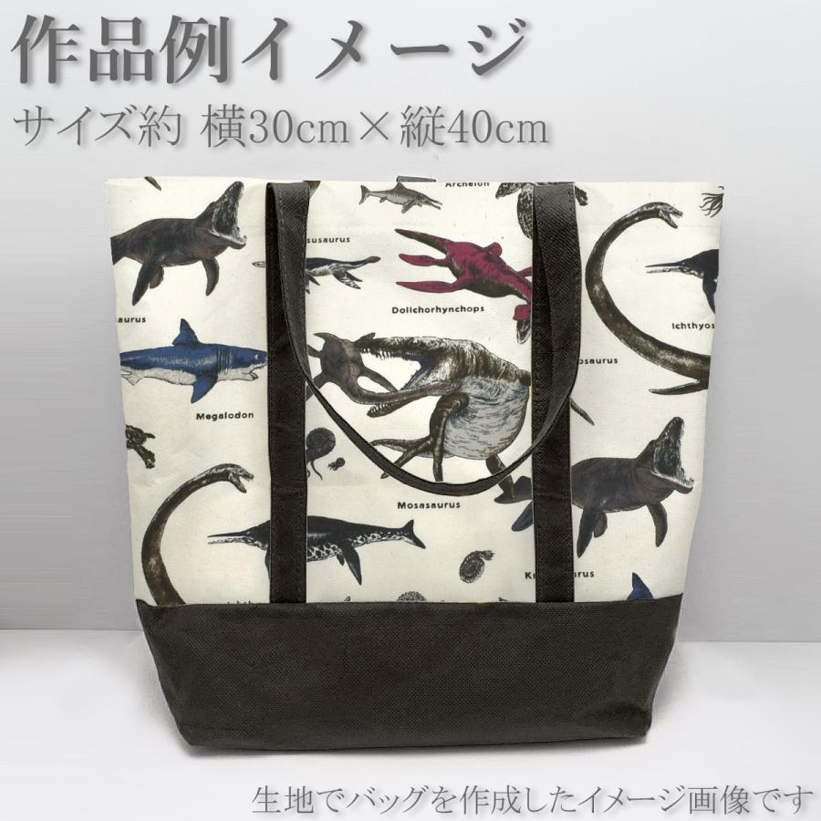 海竜 10cm単位 切り売り ツイル生地 KTS7017 コットンこばやし (30cm 