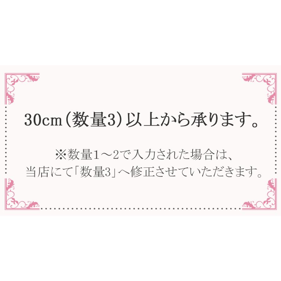 プリントリボン ファンシーギンガムチェックリボン 幅25mm 1m単位