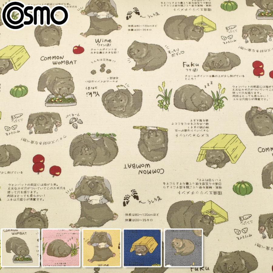 ウォンバット オックス生地 AP62901 コスモ (30cm以上10cm単位切り売り