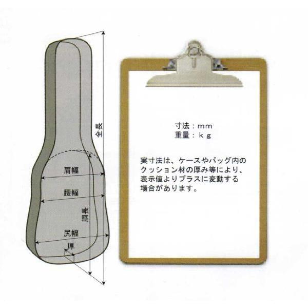 Maison セミアコ ES-335タイプ ハードケース付き