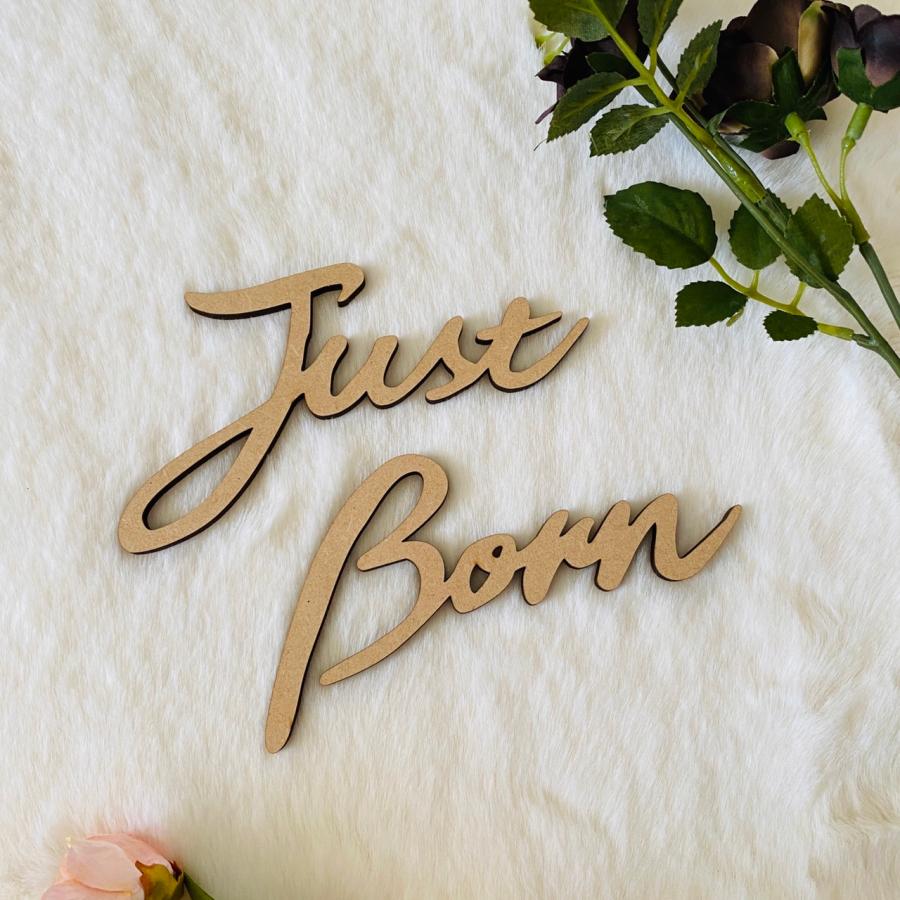 木製　JustBorn ニューボーンフォト　レターバナー　ウッドレター |  | 06