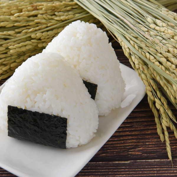 ひとめぼれ 米 10kg 福島県産 お米 6年産 会津産 送料無料 『令