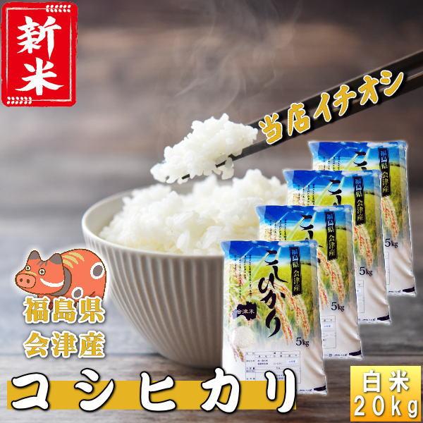 新米 コシヒカリ 6年産 会津産 20kg 送料無料 『令和6年福島県会津産  