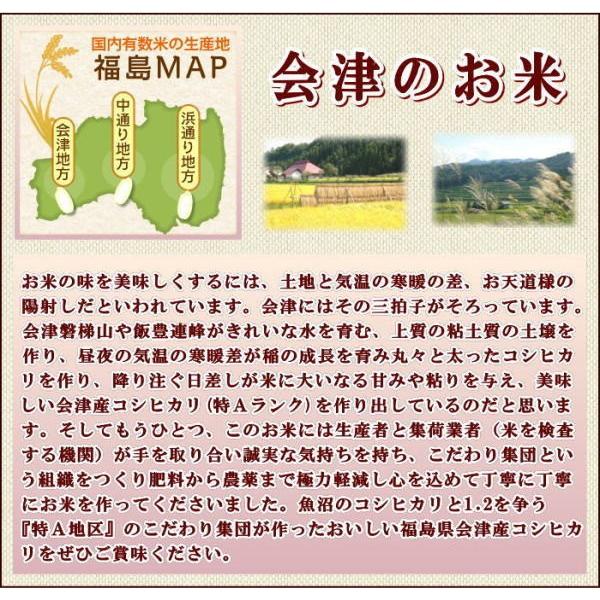 コシヒカリ 米 5kg 福島県産 お米 6年産 会津産 送料無料 『令和