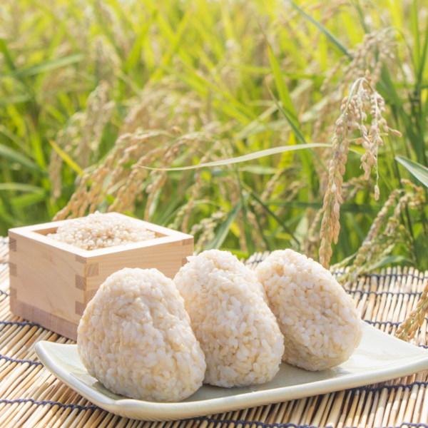 コシヒカリ 米 30kg 玄米 お米 7年産 福島県産 送料無料 『令和7年福島 