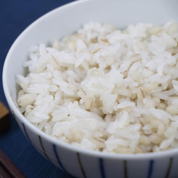 ◇同梱専用◇送料別 ライスアイランド『まるっともちもち麦(500g 