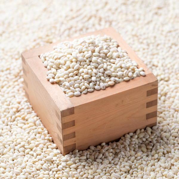 内国産❣️もちもち麦５００ｇ×２０袋セット❣️本州送料無料 はくばく 国産もち麦 ( 500g )/ : 爽快ドラッグ - 通販 - Yahoo