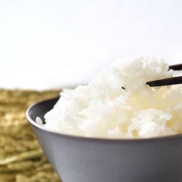 ひとめぼれ 米 5kg 福島県産 お米 7年産 送料無料 『令和7年福島県産
