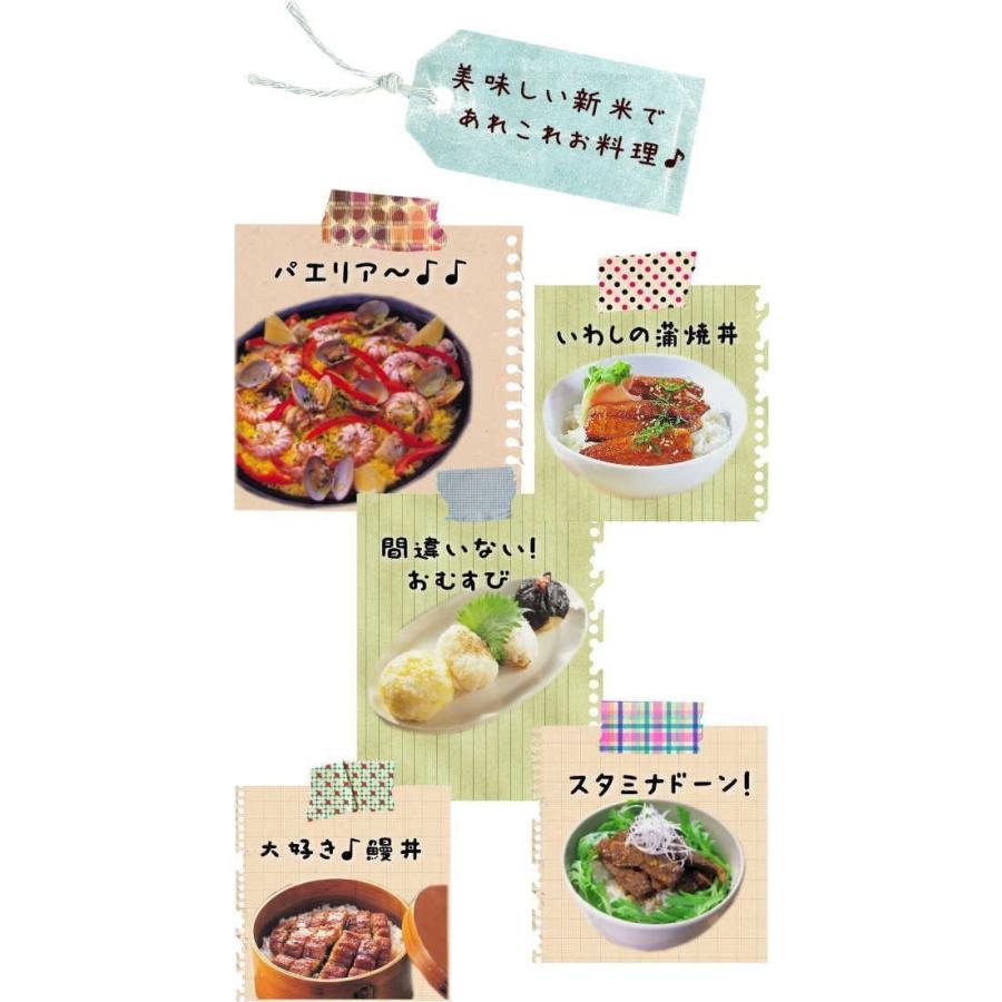 新米 コシヒカリ 5kg 福島県産 お米 7年産 送料無料 『令和7年福島県産コシヒカリ白米5kg』 | コシヒカリ | 03