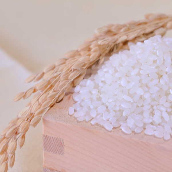 送料無料 新米 玄米 福島産 コシヒカリ お米 30キロ①. 令和6年 楽天市場】新米 米 30Kg 送料無料 無洗米【福島県産コシヒカリ