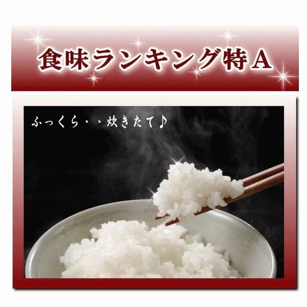 米 30kg コシヒカリ 玄米 お米 5年産 福島県産 送料無料 『調製料金不要!令和5年福島県産コシヒカリ(調製玄米10kg×3)』｜manmayarice｜03