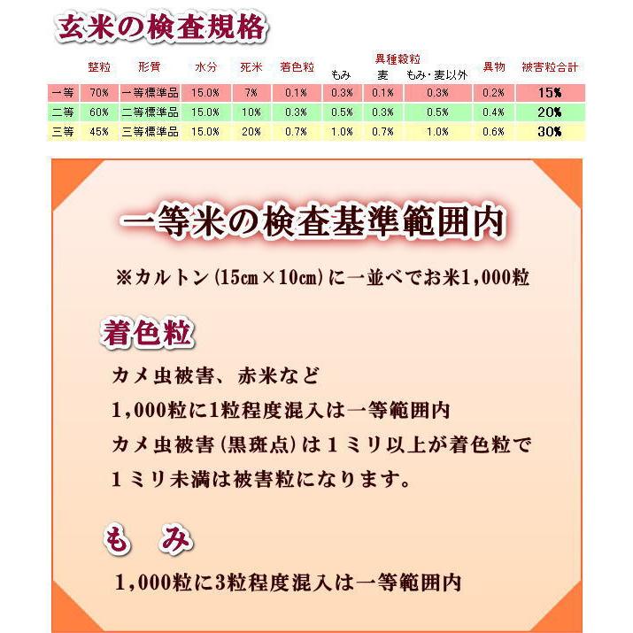 米 30kg 送料無料 お米 5年産 30キロ おこめ 『令和5年茨城県産あきたこまち玄米30kg』｜manmayarice｜07