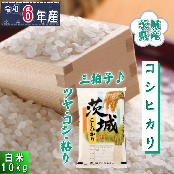 時間指定不可 茨城県産 コシヒカリ 10kg 白米 一等米 tbg.qa