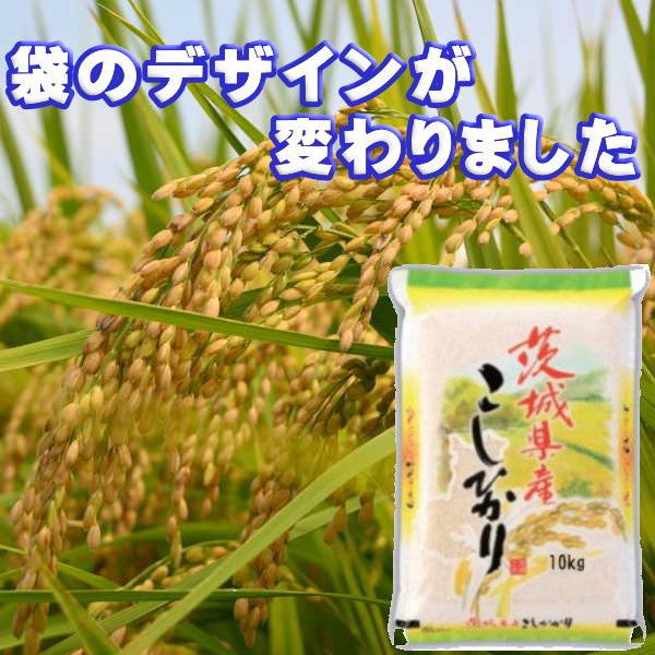コシヒカリ 新米 10kg お米 8年産 茨城県産 送料無料『令和8年茨城県産