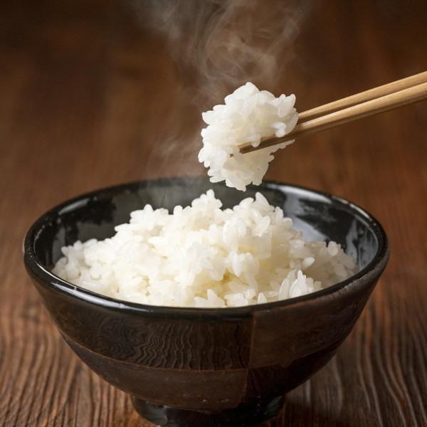 お米 精米 10kg 送料無料 国内産 『うちの自慢のおこめ白米10kg