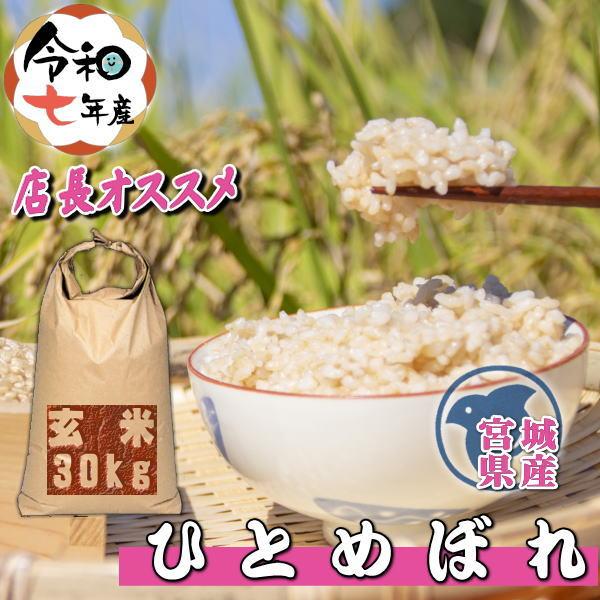 お米 宮城県産ひとめぼれ 玄米30kg 【公式通販】