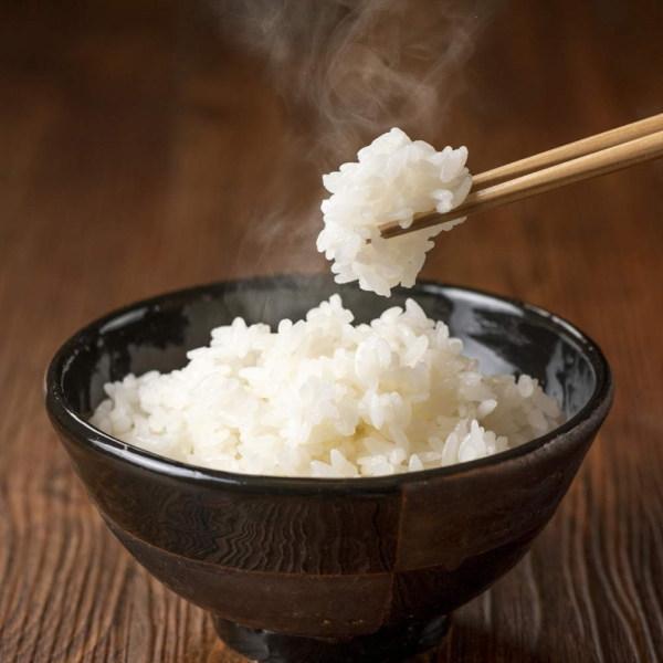 ひとめぼれ 米 30kg 玄米 宮城県産 お米 7年産 送料無料『令和7