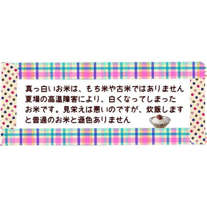 米10キロ　専用品 SHINSEI 米用フレコンバッグ 丸型 0.6t 10枚セット 排出口あり