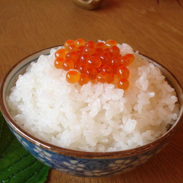 セール お米 10kg 送料無料 白米 安い 訳あり ブレンド米 『国内産