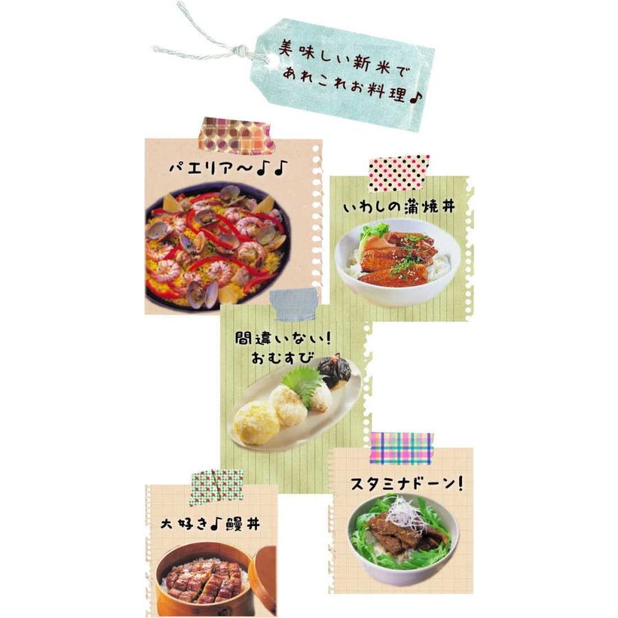 お米 10kg 送料無料 白米 安い 訳あり ブレンド米 『国内産仕立て米白米10kg』 |  | 05