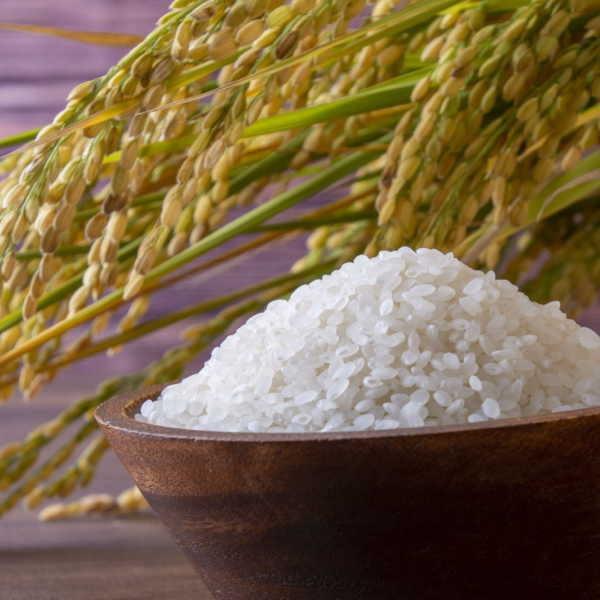 20kg お米 白米 安い (10kg×2袋) 訳あり ブレンド米 送料無料 『国内産たんぼだより(白米10kg×2)』 |  | 11