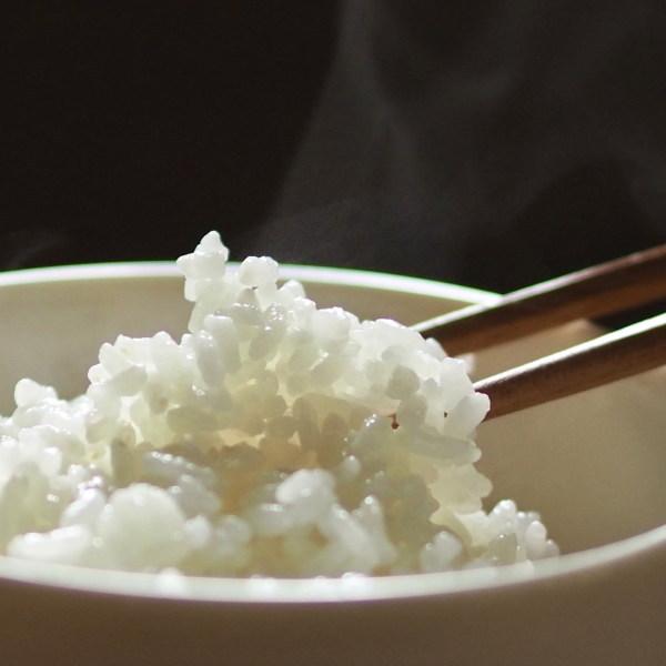 20kg お米 白米 安い (10kg×2袋) 訳あり ブレンド米 送料無料 『国内産たんぼだより(白米10kg×2)』 |  | 12