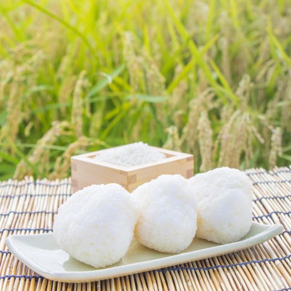 30kg お米 白米 安い (10kg×3袋) 訳あり ブレンド米 送料無料  『国内産たんぼだより(白米10kg×3)』 |  | 07