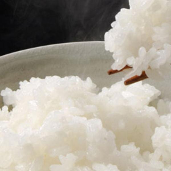 新米 天のつぶ 10kg(5kg×2袋) 福島県産 お米 7年産 送料無料 『令和7年