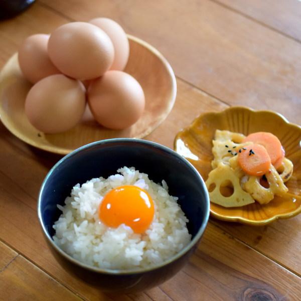 米 天のつぶ 10kg(5kg×2袋) 福島県産 お米 6年産 送料無料 『令