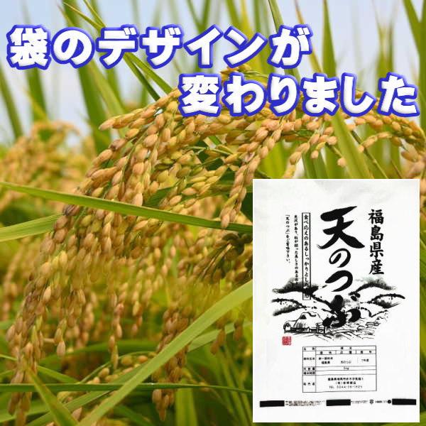 セール【10/19〜順次発送】新米 天のつぶ 10kg(5kg×2袋) 福島県産 お米