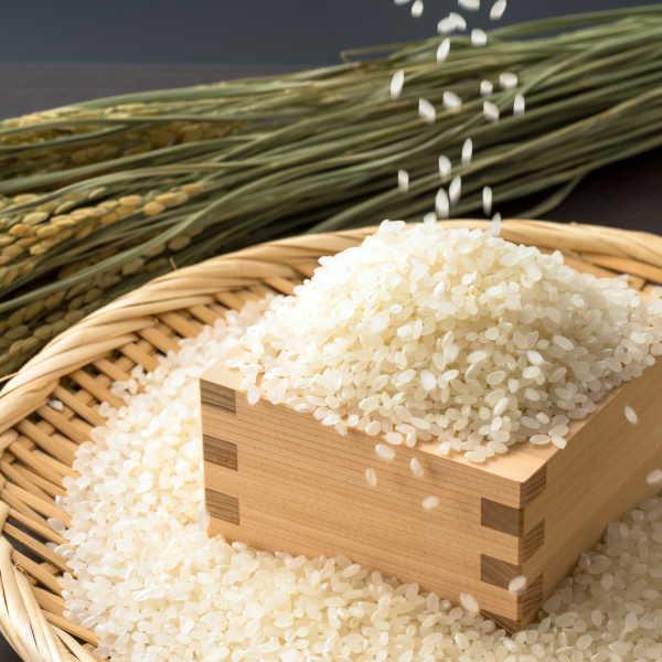 （ドロンジョ様仮専用）福島県産令和5年産10kg天のつぶ5kgひとめぼれ5kg 米 天のつぶ 10kg(5kg×2袋) 福島県産 お米 6年産 送料無料 『令
