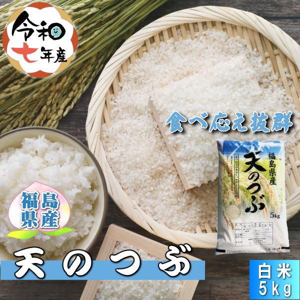 米 天のつぶ 5kg 福島県産 お米 7年産 送料無料 『令和7年福島県産天の