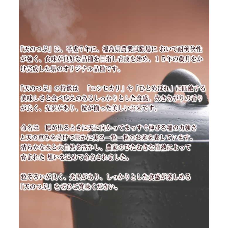 新米 天のつぶ 30kg 玄米 福島県産 お米 7年産 送料無料 『令和7年福島