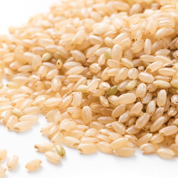 新米 天のつぶ 30kg 玄米 福島県産 お米 7年産 送料無料 『令和7