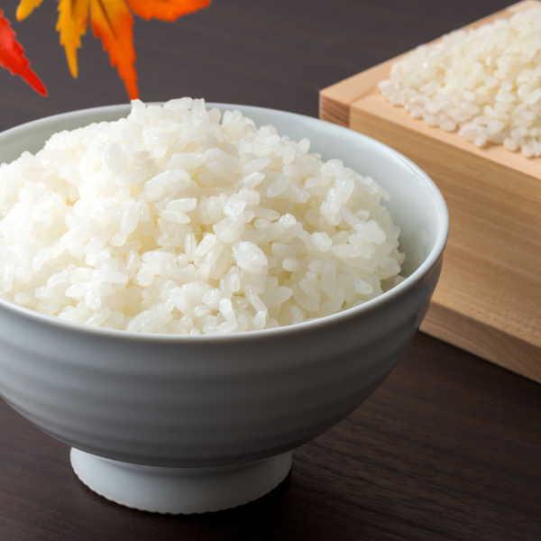 米 つきあかり 5kg 福島県産 お米 7年産 送料無料『令和7年福島県会津