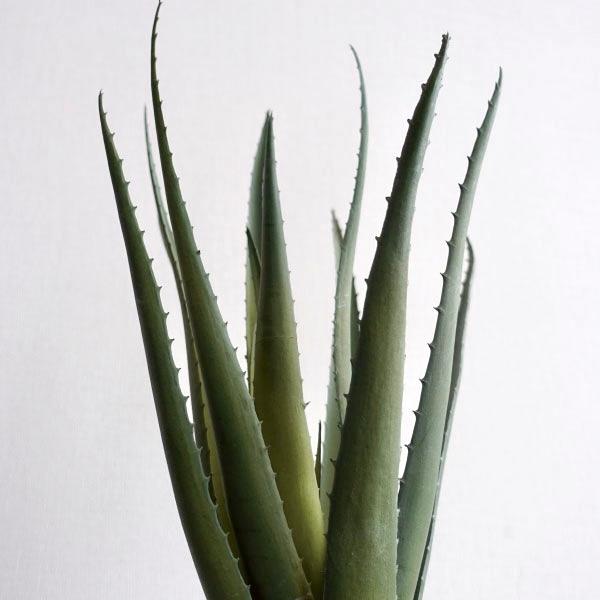 観葉植物 フェイクグリーン リアル 造花 アロエベラ 人工 おしゃれ